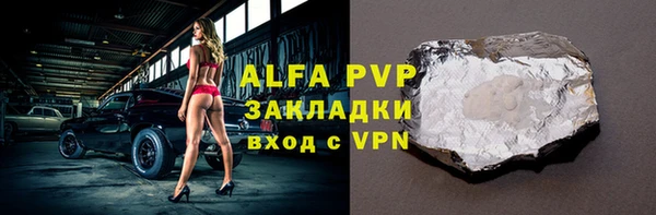 молекула духа Арсеньев