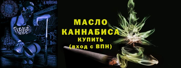 молекула духа Арсеньев