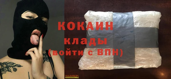 молекула духа Арсеньев