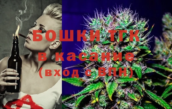 молекула духа Арсеньев
