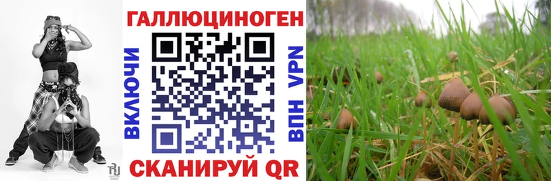 omg   площадка наркотические препараты  Галлюциногенные грибы мицелий  Сергач 